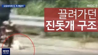 오토바이에 살아있는 개 매달고 주행ㅣMBC충북NEWS