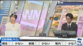 【山岸愛梨・山口剛央】🍙🐯っ「ニコ生コメの疑問をぐっさんに聞いてみるあいりん(ニコ生コメ有り)」