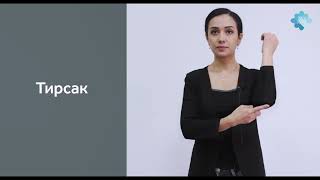 The Art of Sign Language: Unlocking Communication Without Words