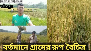 বর্তমানে গ্রামের রূপ বৈচিত্র ভগীরথপুর মঠবাড়িয়া বরিশালের মনু! Barisaler Monu Mehedi Hasan vlogs