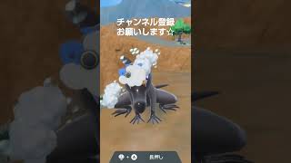 ポケモンSVヤトウモリを全身泡だらけにしてみた