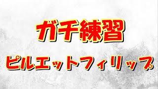 ラジコンヘリ　ピルエットフィリップへの挑戦方法