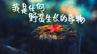 房东的猫《我是任何野蛮生长的事物》电影「如果声音不记得」插曲【动态歌词Lyrics】