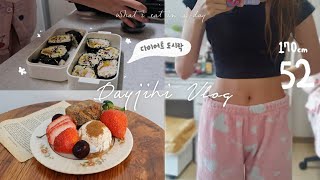 [diet vlog] 170,52kg 유지어터의 살이 안빠질 수 없는 맛도리 다이어트 도시락 식단 일상