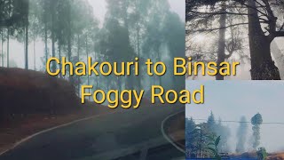 Foggy Road  in Uttarakhand | Kumayun Trip in  December | Way to Binsar from Chakouri |🙏❤️