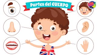 PARTES del  CUERPO en  INGLÉS 👄 👀 🖐 Aprende Inglés para niños 🌈