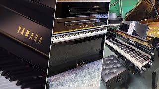 World's Finest Pianos: Discover the Best Piano Brands!