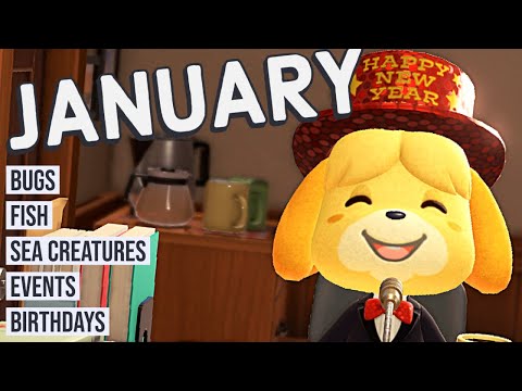 Animal Crossing New Horizons Guide to JANUARY! Bugs, Fish, Events and More! (Northern Hemisphere)