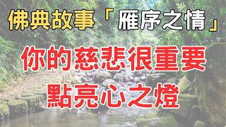 雁序之情。這位愛吃雁肉的國王就是阿闍世王，而被救下的雁王則是釋迦牟尼佛。依偎在雁王旁邊的雁是阿難尊者，而五百隻雁代表著五百位羅漢。