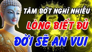 Tâm Bớt Nghĩ Nhiều Cuộc Sống Sẽ An Vui Mới Hạnh Phúc Được  - Lời Phật Dạy