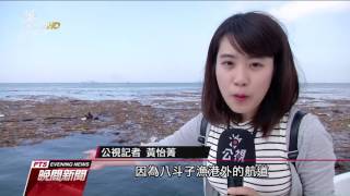 暴雨後漂浮木沖漂 塞滿八斗子漁港 20170607 公視晚間新聞