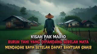 KISAH PAK MARIO PETANI MISKIN YANG DIHINA MENDADAK KAYA - kisah horor - cerita horor