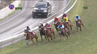 276 - 2018 THE HENNESSY PARK HOTEL - MTC 175TH ANNIVERSARY CUP