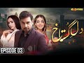 Dil e Gustakh - Episode 3 | Faysal Quraishi - Yashma Gill - Faryal Mehmood - Ali Ansari | Express TV