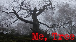 "Me, Tree" Creepypasta