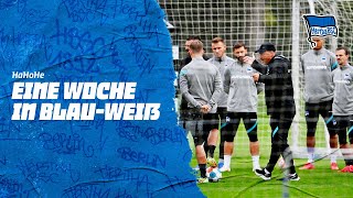 HaHoHe - Eine Woche in Blau-Weiß | 2. Spieltag | Hertha BSC vs. VfL Wolfsburg