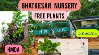 Telangana HARITHA HARAM l HMDA l Ghatkesar Nursery l FREE PLANTS l Hyderabad ~ Nikhila Arutla