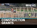 Government subsidies trigger surge in buyer interest in the housing industry | ABC News