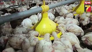 ROJAGAR | Environmental Control Poultry Farming | Bhadrak