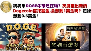 狗狗币DOGE牛市还在吗？灰度推出新的Dogecoin信托基金,会涨到1美金吗？短线涨到0.6美金#DOGE币#马斯克狗狗币#DOGE行情分析