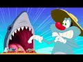 Oggy And the Cockroaches, Zig & Sharko, Where's Chicky ! 🤩 New Cartoon Compilation