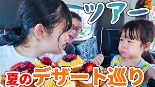 暑い日は涼しい車内でデザート食べまくりドライブ🚗何が美味しかった？