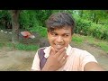 ન્યૂ વ્લોગ મારી આંબાવાડી કેવી છે. new vlogs vodeo desivlogdigital vadiyemojkari ytshorts