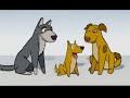 Dogs and More Dogs - PBS NOVA Documentary - Amazing Dogs