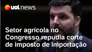 Preço dos alimentos: Setor agrícola no Congresso repudia ideia de cortar imposto de importação