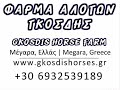 Πόνυ κάνει σούζα www.gkosdishorses.gr