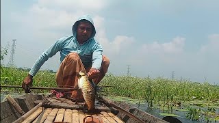 টেটা দিয়ে রুই মাছ শিকার করা | কোচ দিয়ে মাছ ধরা | রুই মাছ ধরার ভিডিও।বিলে টেটা দিয়ে মাছ ধরা | fishing