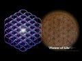 THE TORUS/THE FLOWER OF LIFE (Thrive clip) Foster Gamble