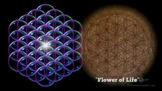 THE TORUS/THE FLOWER OF LIFE (Thrive clip) Foster Gamble