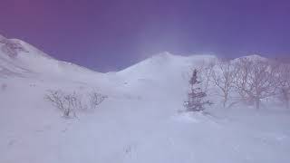 2021.02.21 乗鞍岳位ヶ原でのブリザード 快晴の青空のもと穂高の展望に霧氷輝く木々