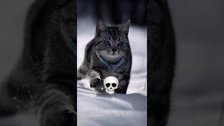 blue animals can't be scary 💀