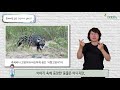 국립생태원 09 검은 개미와 흰개미의 싸움