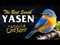 Surah Yaseen: The Heart of the Quran - A Journey of Faith and Wisdom ~ Alaa Yaseer