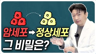 정상세포로 돌아가는 암세포, 그 비밀은?