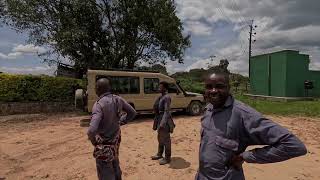 Gorilla and chimpansee trekking in Uganda