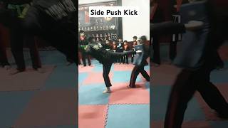 Side Push Kick #fight #martialarts #selfdefense #selfdefence #karate #action #ytshorts #asifcheema