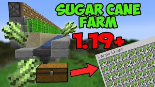 🔴How to Build: Automatic Sugar Cane Farm | Minecraft 1.19+