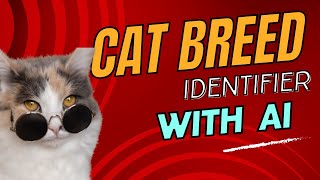 Cat Breed Classification Model using Teachable Machines and Streamlit | No Code AI deployment