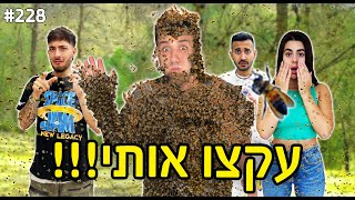 10,000 דבורים עקצו אותי!!!