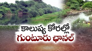 కాలుష్య కాసారంగా గుంటూరు ఛానల్‌ | Guntur Channel Turns Polluted Hub | Creates Trouble to People