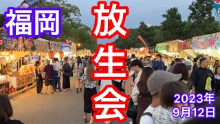 【放生会】日本一出店が並ぶ祭りに行ってみた