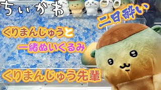 ＜ちいかわ＞くりまんじゅうと一緒ぬいぐるみ-くりまんじゅう先輩(クレーンゲーム・UFOキャッチャー)