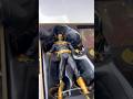 ASMR style Mcfarlane Toys DC vs Vampires gold Batman unboxing