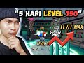 Cara Baru Grinding Xp & Cepet Level Max di Game FISCH ROBLOX