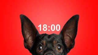 18 Minute Timer for School & Homework Dog Bark Alarm Sound Improve Focus & Productivity
