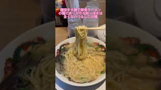 鹿児島No.1ラーメンを食べた感想 #shorts #鹿児島 #おすすめ #ラーメン #ramen #小金太